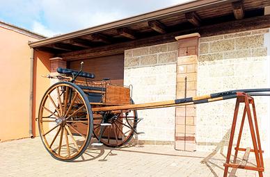 Carrozza modello Gig 