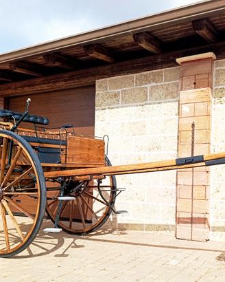Carrozza modello Gig 