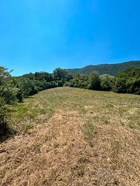 Terreno di 2000mq a Ceccano