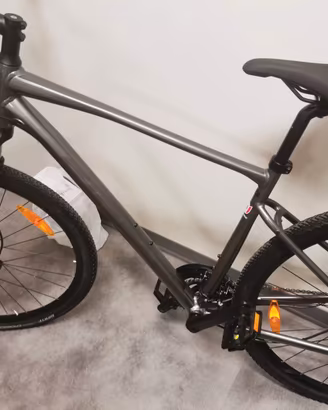   Giant Roam trk  agosto 2021