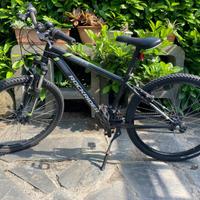 Bicicletta MTB