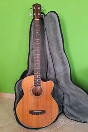 Basso acustico Eko 