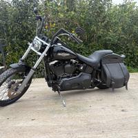 Harley softail night train