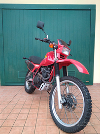 Honda 600 xlr
