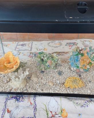 acquario