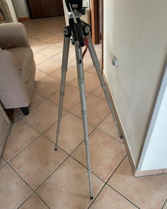 Treppiede