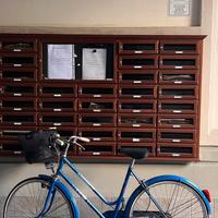 Bicicletta Doniselli