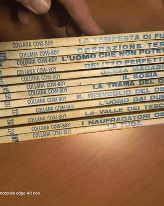 Piccolo ranger lotto 