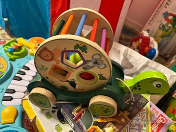 Gioco in legno Tartaruga educativa “Playtive”