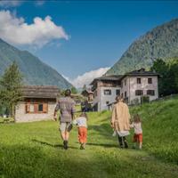 Appartamento VAL DI SOLE, IL PINO CEMBRO