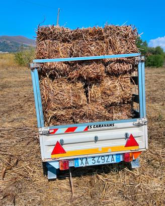 carrello per auto 