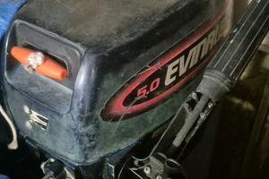Motore evinrude 5 cavalli gambo lungo