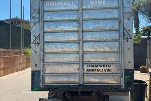 Daily trasporto animali