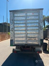 Daily trasporto animali