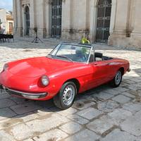 spider Alfa Romeo 