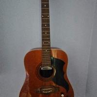 Chitarra elettrificata Eko Ranger 6