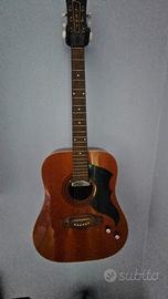 Chitarra elettrificata Eko Ranger 6