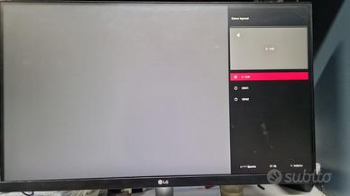 Monitor per PC e DVR LG