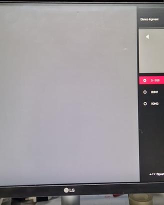 Monitor per PC e DVR LG