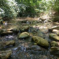 Terreno pianeggiante con due ruscelli perenni