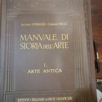MANUALE STORIA DELL'ARTE