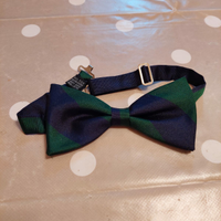 Papillon verde e blu di 100% seta