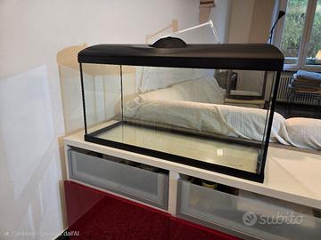 Acquario Amtra 80 litri