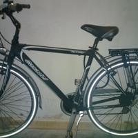 Bici Citybike Casadei uomo nuova.