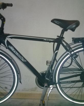 Bici Citybike Casadei uomo nuova.