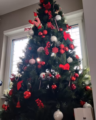 albero di natale 240 cm