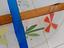 Immagine 6
