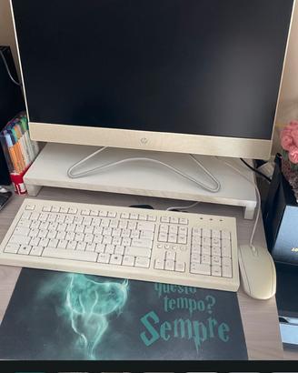 COMPUTER HP ALL IN ONE