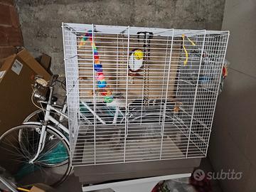 Gabbia per uccellini 