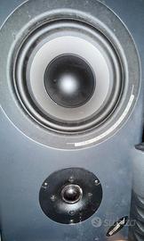 Alesis C250 passivi