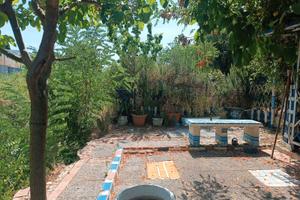 Terreno agricolo con luce,Zona Limoncino / Valle B