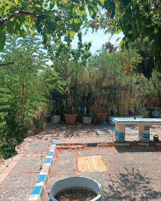 Terreno agricolo con luce,Zona Limoncino / Valle B