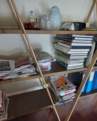 LIBRERIA MODULARE ROCHE BOBOIS