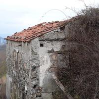 Rustico con piantagione annessa