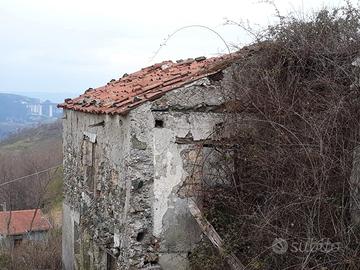 Rustico con piantagione annessa