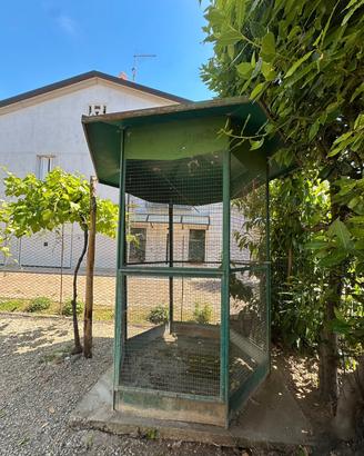 Grande Voliera da giardino esagonale