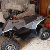 quad  moto