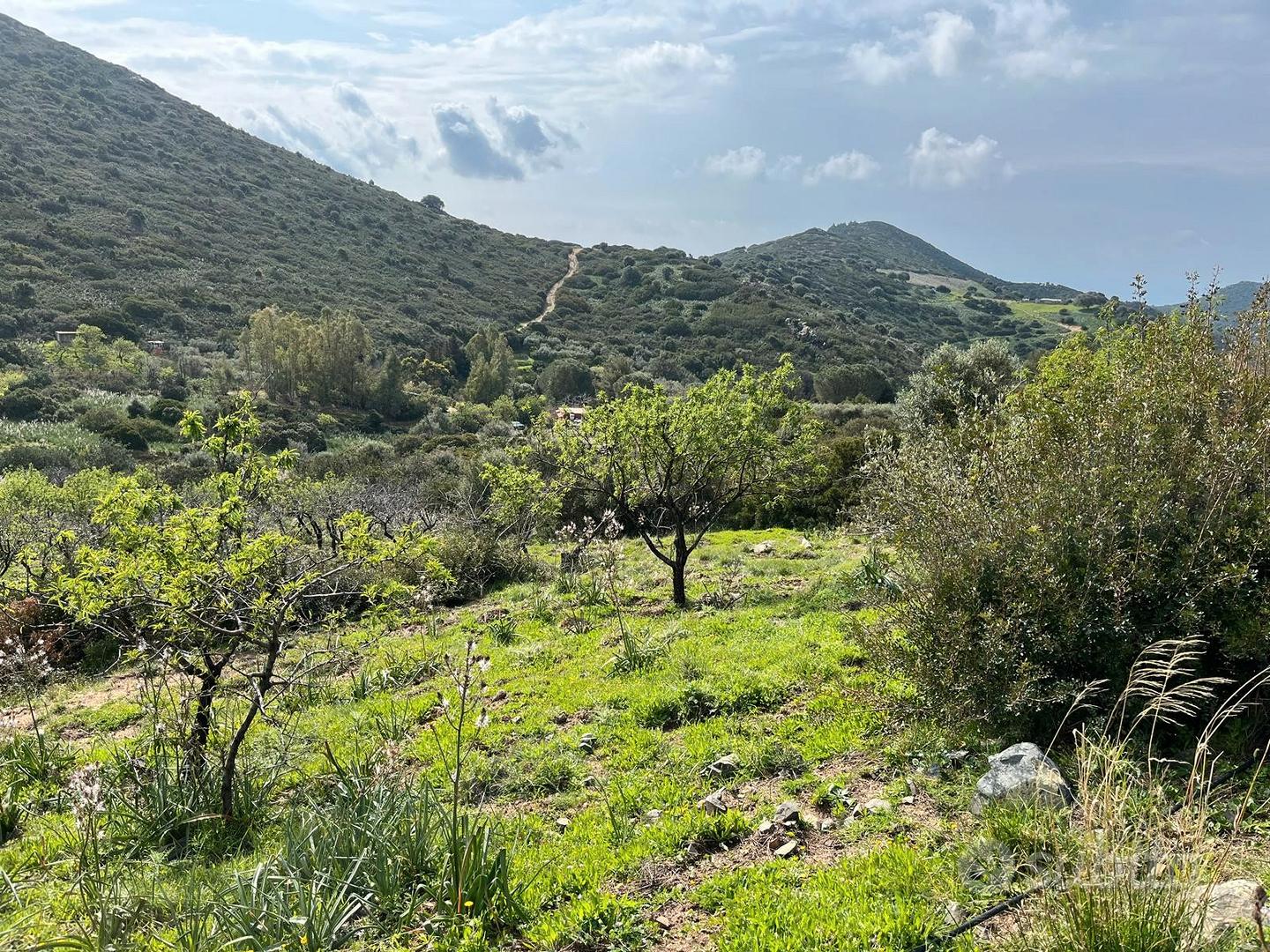 Locale di Sgombero - Vista 5