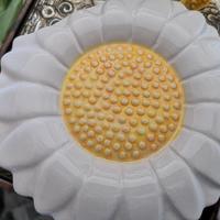 deumidificatore x radiatore riscaldamento 