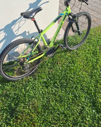 Mountain bike Rockrider ST500