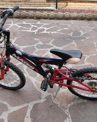 biciclette 20 pollici