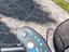 Immagine 4
