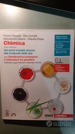 LIBRO CHIMICA ISBN 9788808801937