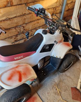 quad 110cc viky italy