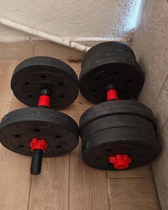 Pesi palestra