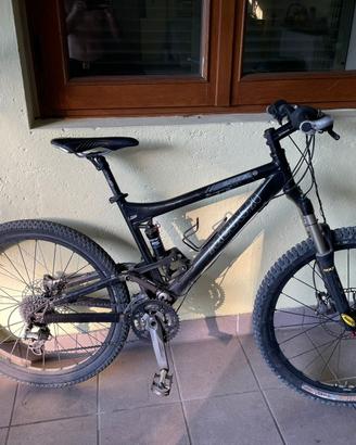 mountain bike biammortizzata